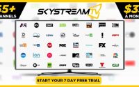 skystream two promo code