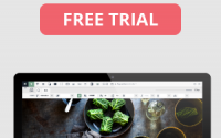 Microthemer Themeover coupon code + free trial