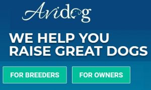 Avidog