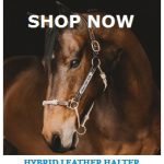 horse education company halter coupon code