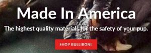 Bullibone