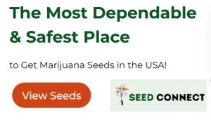 The Seed Connect